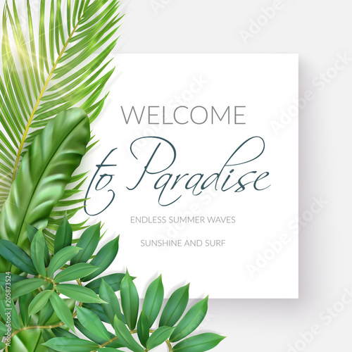Summer tropical background with exotic palm leaves