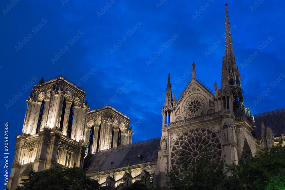 Fototapeta premium Kathedrale Notre-Dame de Paris bei Nacht 2018