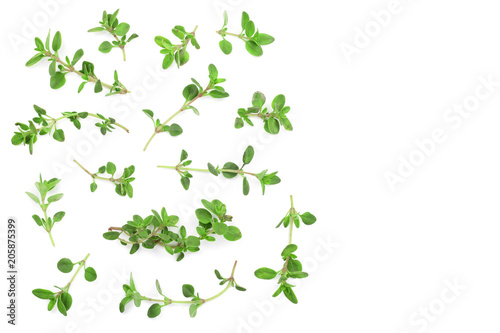 Fresh thyme spice isolated on white background with copy space for your text. Top view. Flat lay pattern