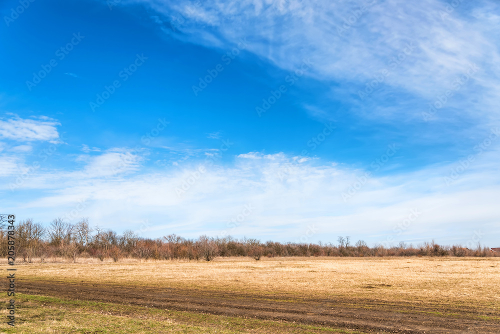 Autumn scenery with dry field and bare trees