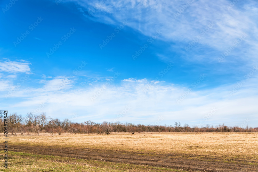 Autumn scenery with dry field and bare trees Autumn scenery with dry field and bare trees
