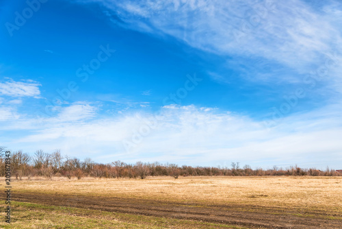 Autumn scenery with dry field and bare trees