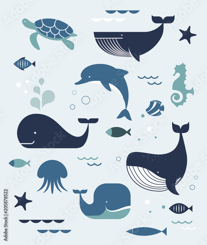 Sea life, whales, dolphins icons and illustrations, poster design