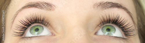 Canvas Print Close up view of beautiful green female eyes with long false eyelashes