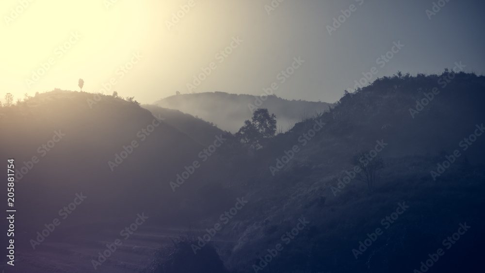Landscape of forest mountains among mist