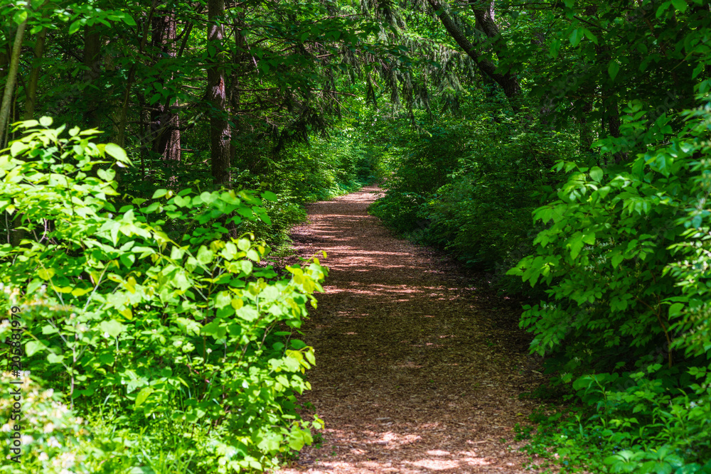 path to fitness and personal acheivement goals path to fitness and personal acheivement goals