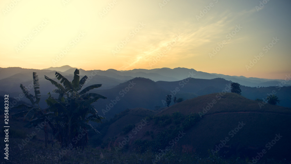 Landscape of forest mountains on sunset