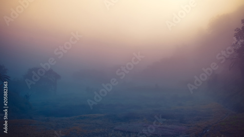 Landscape of forest mountains among mist © auimeesri