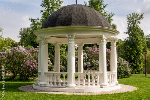 Beautiful white gazebo in a blooming spring Park photo