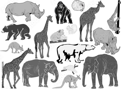 collection of seventeen isolated grey animals