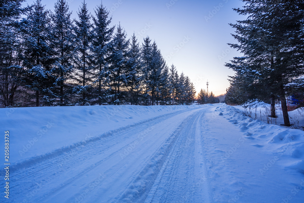 Obraz premium snow road in winter