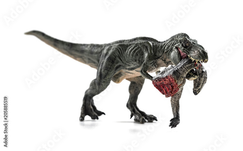 tyrannosaurus biting a dinosaur body with blood on white background © Freer