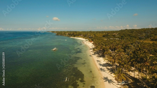 Aerial view of tropical beach on the island Bohol, Philippines. Beautiful tropical island with sand beach, palm trees. Tropical landscape: beach with palm trees. Seascape: Ocean, sky, sea