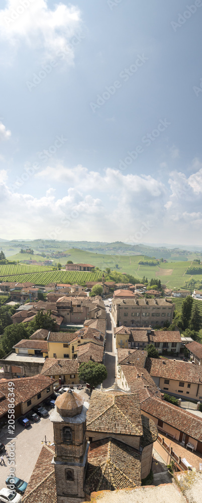 italian hills and vineyard