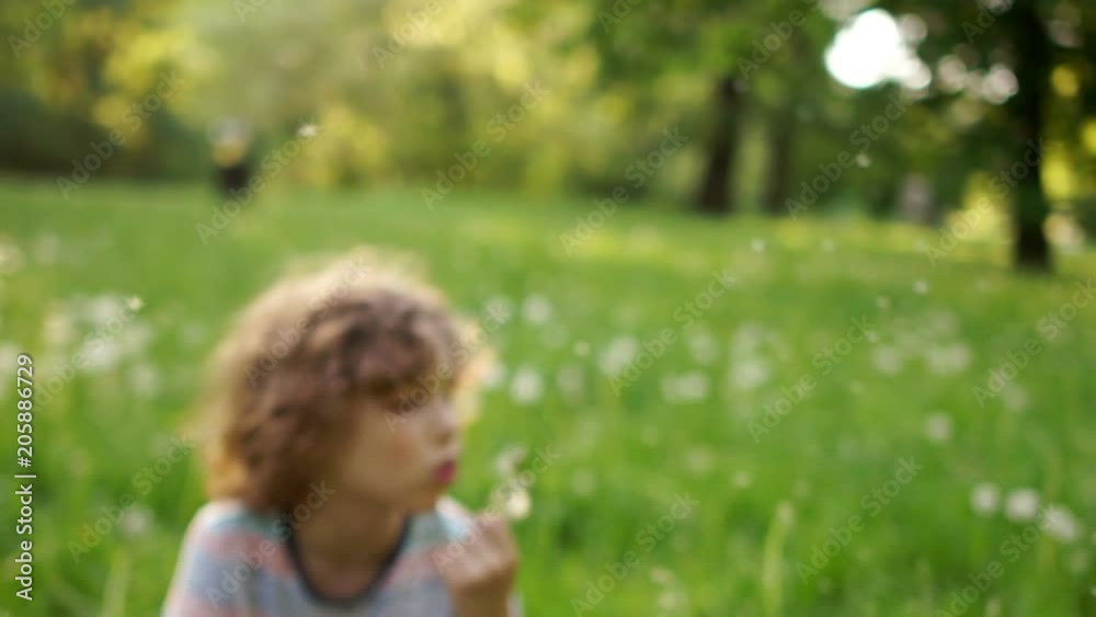 A teenage boy is resting in a clearing in the summer. He is blowing on a dandelion. Flower seeds are carried by the wind. Slow Motion, dynamic video A teenage boy is resting in a clearing in the summer. He is blowing on a dandelion. Flower seeds are carried by the wind. Slow Motion, dynamic video