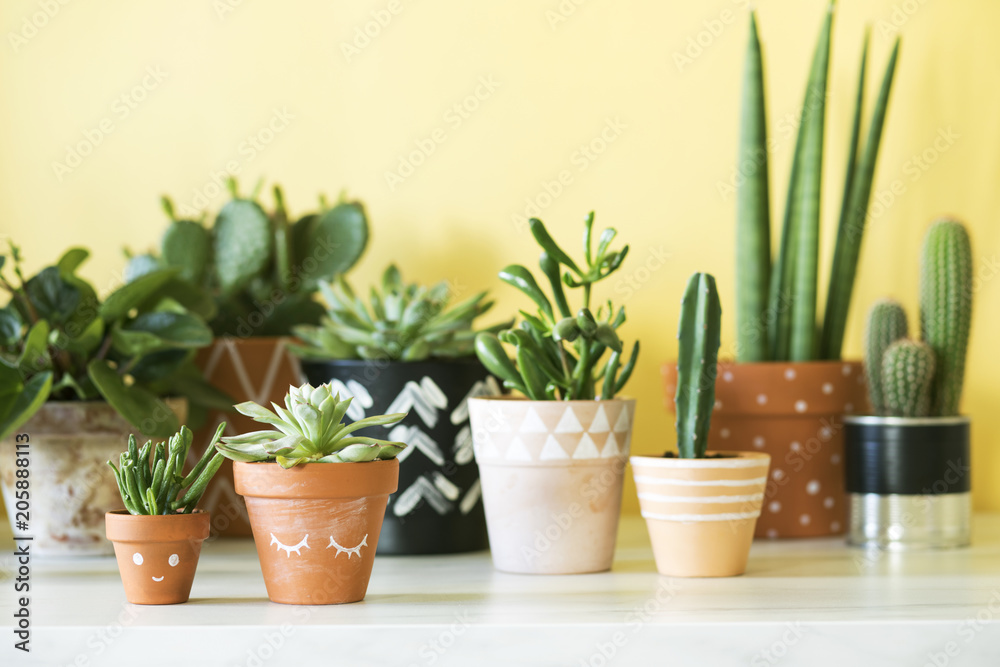 Modern plants compostion on the yellow backround. Stylish room filled a lot of plants in differents pattern clay pots on the marble table. 