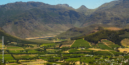 Wine farms, Western Cape, South Africa