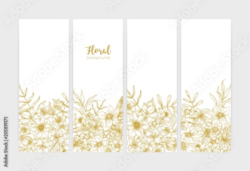 Collection of vertical botanical backdrops with romantic wild flowers and summer meadow flowering herbs drawn with contour lines on white background. Monochrome floral realistic vector illustration.