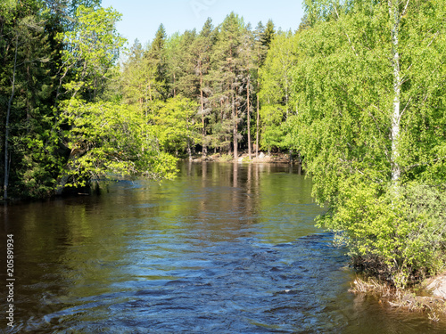 Swedish river and natural salmon area in spring.  Farnebofjarden national park in Sweden.