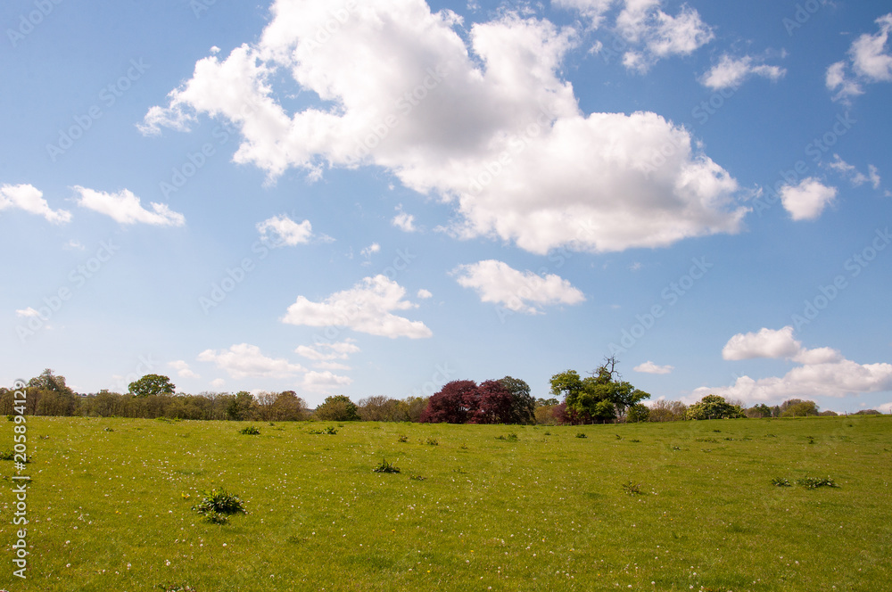 Summer landscape in the Worcestershire countryside of the United Kingdom. Summer landscape in the Worcestershire countryside of the United Kingdom.