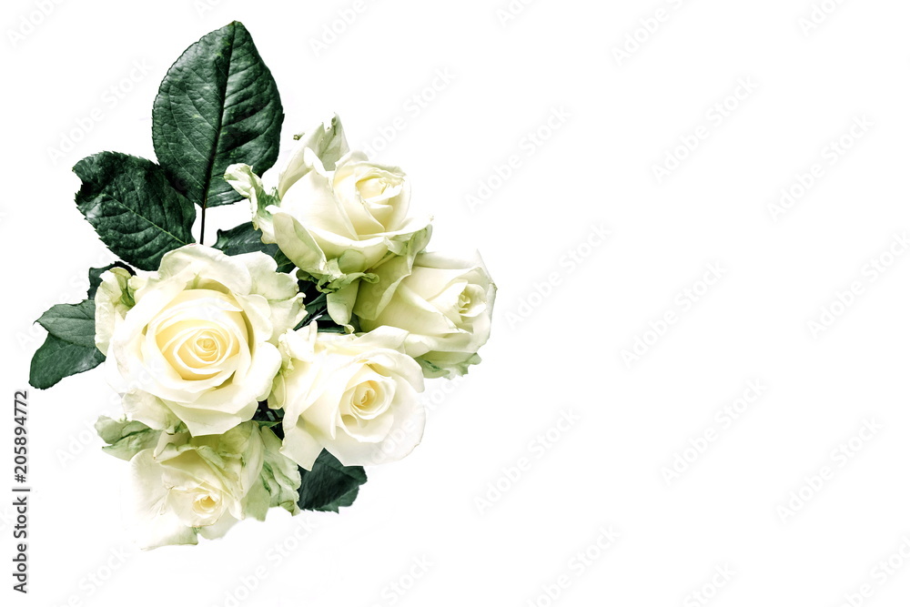 Bouquet of white roses on white background, isolated 