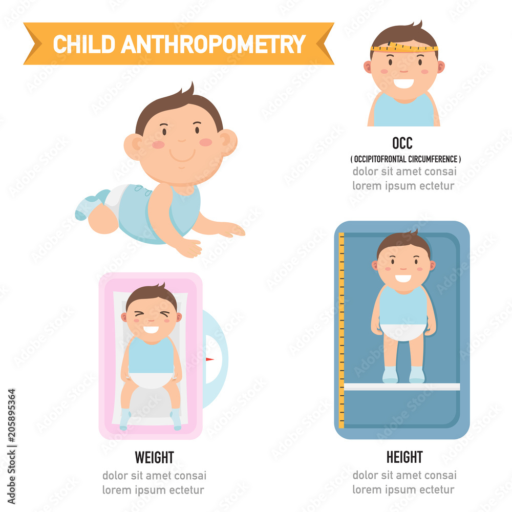 Child anthropometry infographic,vector illustration Child anthropometry infographic,vector illustration
