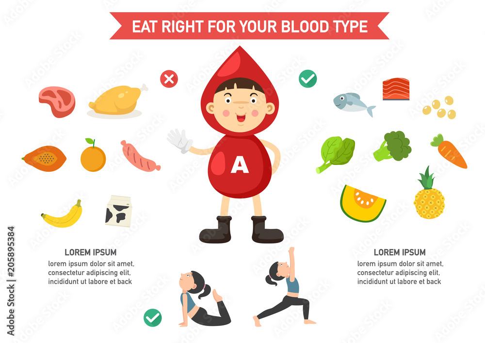 Fototapeta premium eat right for your blood type infographic,vector illustration