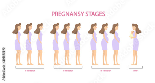 Pregnancy stages set.