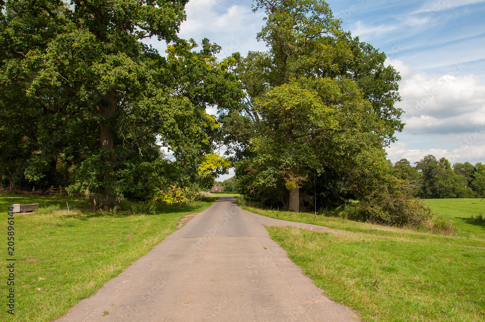 Country lane in the English summertime. Country lane in the English summertime.