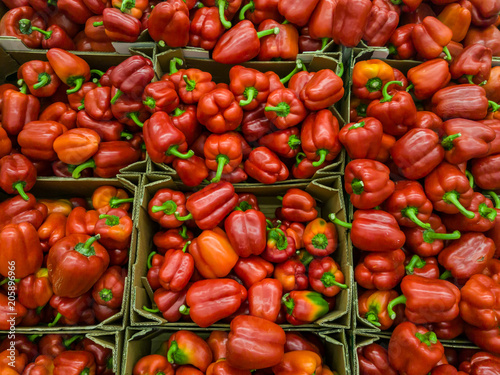 Bright red ripe paprika background