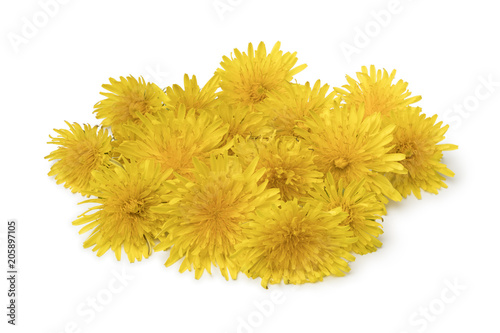 Heap of fresh yellow dandelion flowers