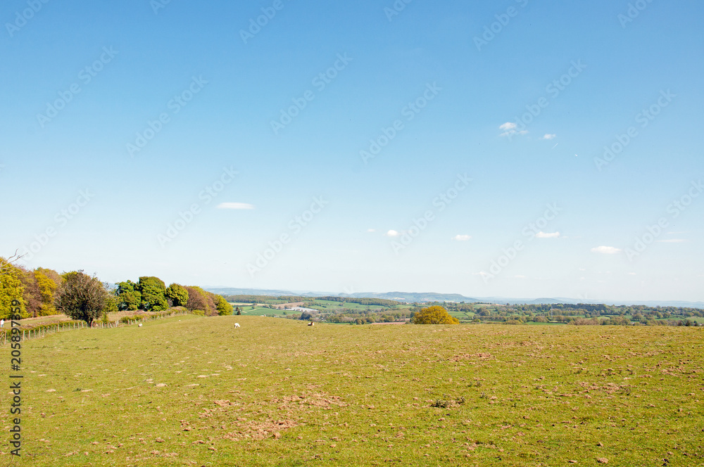 Fototapeta premium Hergest ridge in the summertime. A summertime scene along Hergest ridge along the border of England and Wales.