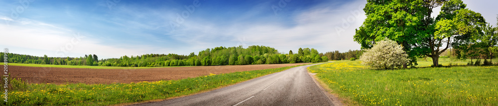 asphalt road panorama in countryside on sunny spring day