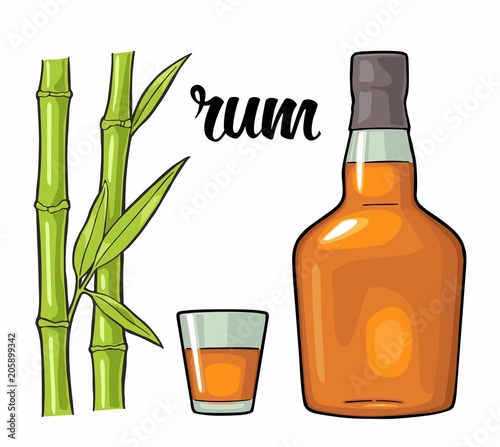 Glass and bottle of rum with sugar cane. Engraving