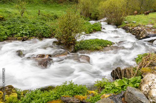 Valley of Leitariegos, in Asturias (Spain), at the beginning of spring