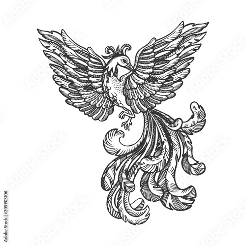 Firebird animal engraving vector illustration