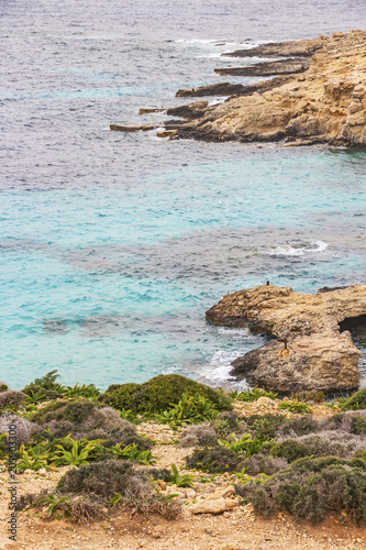 Comino coastline with island vegetation, limestone rocks and the Blue Lagoon water, Comino island, Malta photo