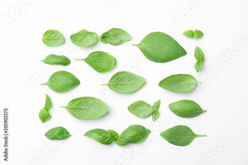 Fresh green basil leaves on white background, top view