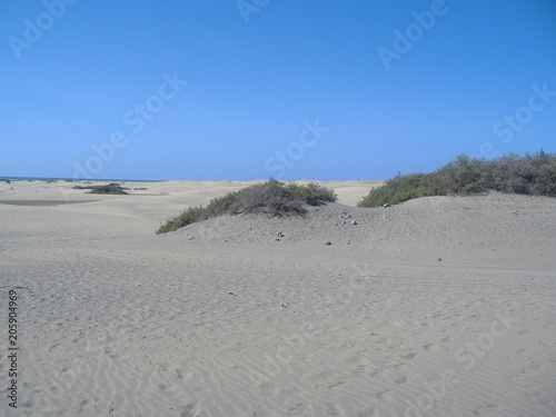 Espagne - Grande Canarie - Dunes de Maspalomas