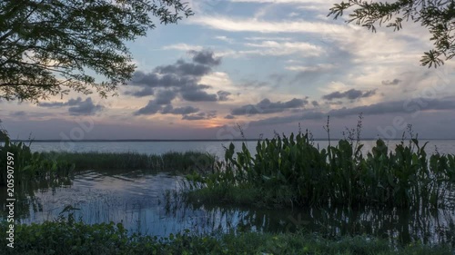 Sunset at Lake Apopka photo