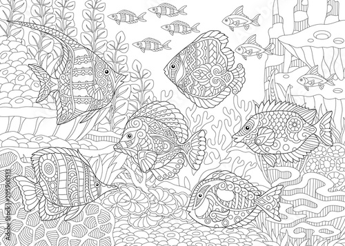 Underwater Ocean world. Shoal of tropical fishes of different species. Coloring Pages. Adult Coloring Book idea. 