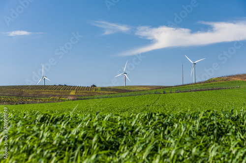 Green agriculture field, wind turbines and clear blue sky. Renewable energy