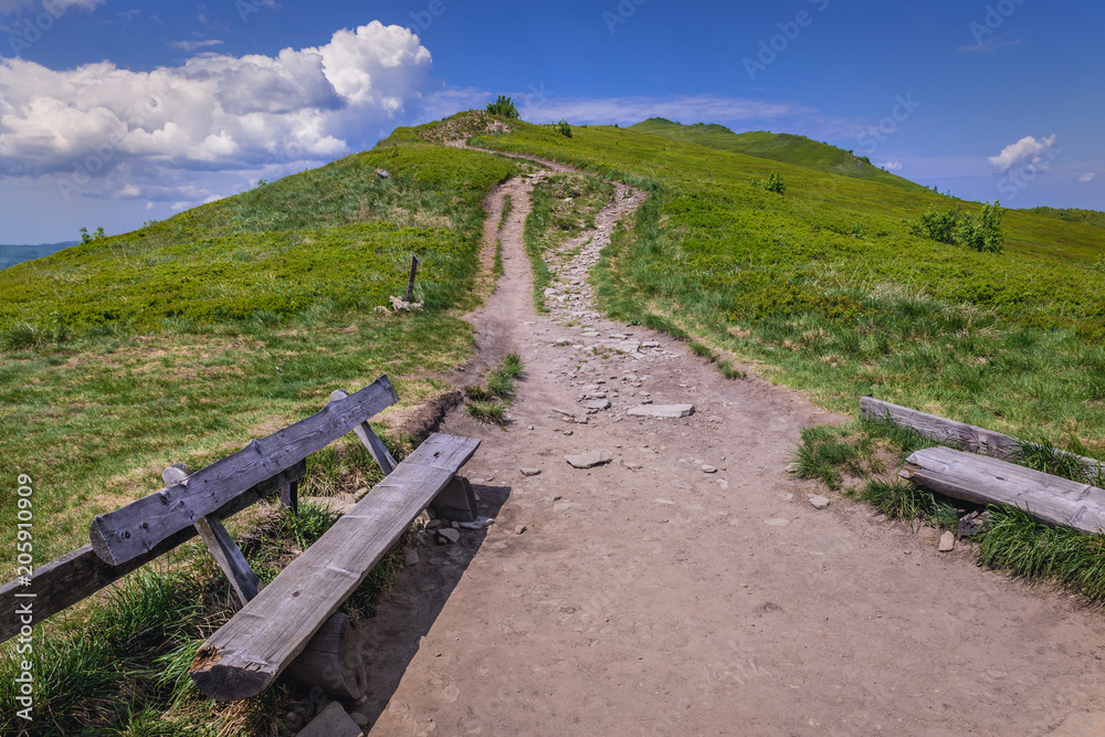 View from Orlowicz mountain pass with a climb trail to Mount Smerek on Wetlina Meadows, Bieszczady Mountains in Poland