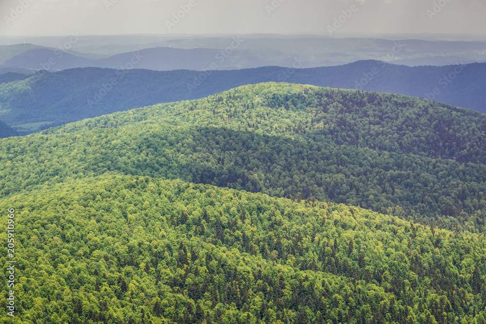 Fototapeta premium Aerial view from trail of Wetlina Meadows, Bieszczady Mountains in Poland