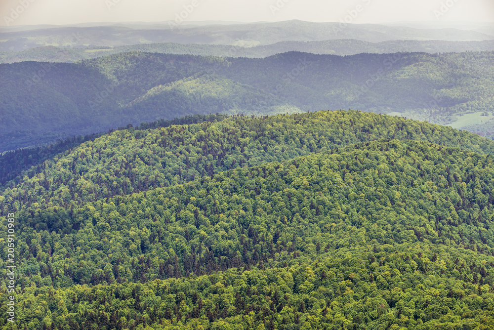 Fototapeta premium Aerial view from trail of Wetlina Meadows, Bieszczady Mountains in Poland