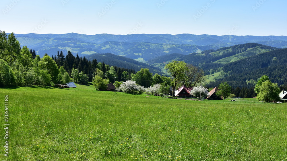 landscape of Beskids mountains,here top of Solan,Czech republic