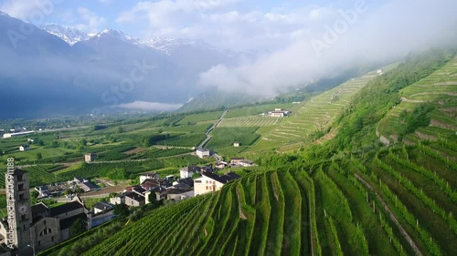 Vineyards and terracing in Valtellina, aerial view with a drone over cultivations photo