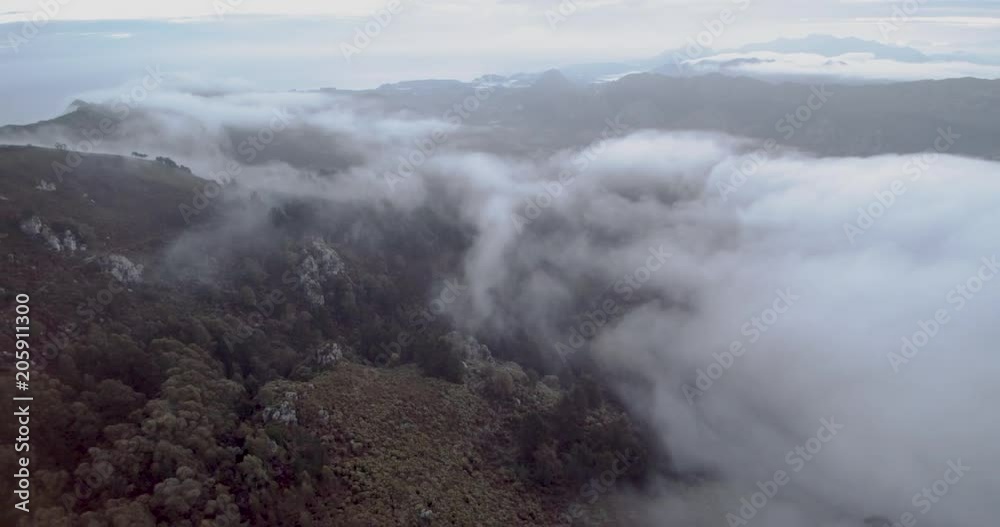 Fliying with fog over the forest Fliying with fog over the forest