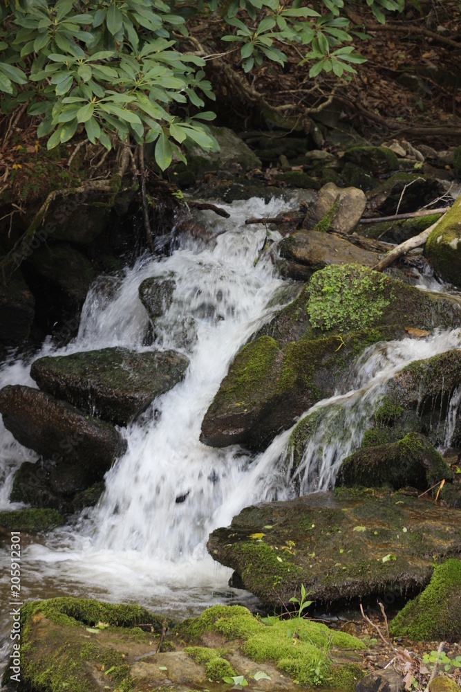 Rushing waters