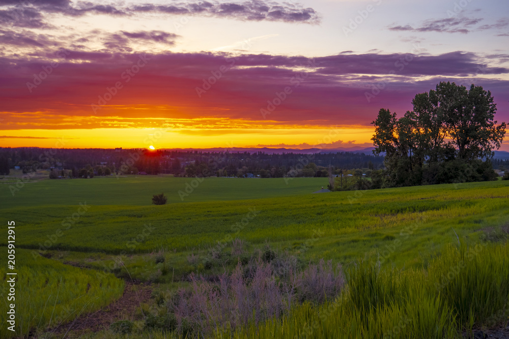 Sunset meadow on farmlands